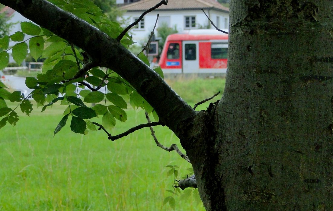 Schon bei Zwei