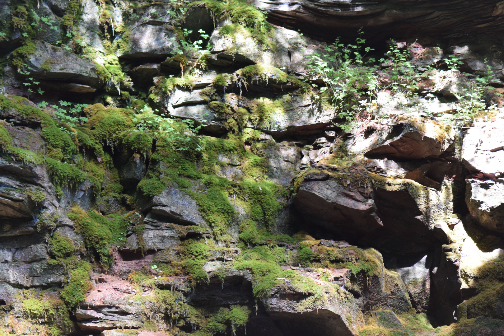 Schon beim hochklettern des Steinmassivs in der Klingelbachschlucht .......