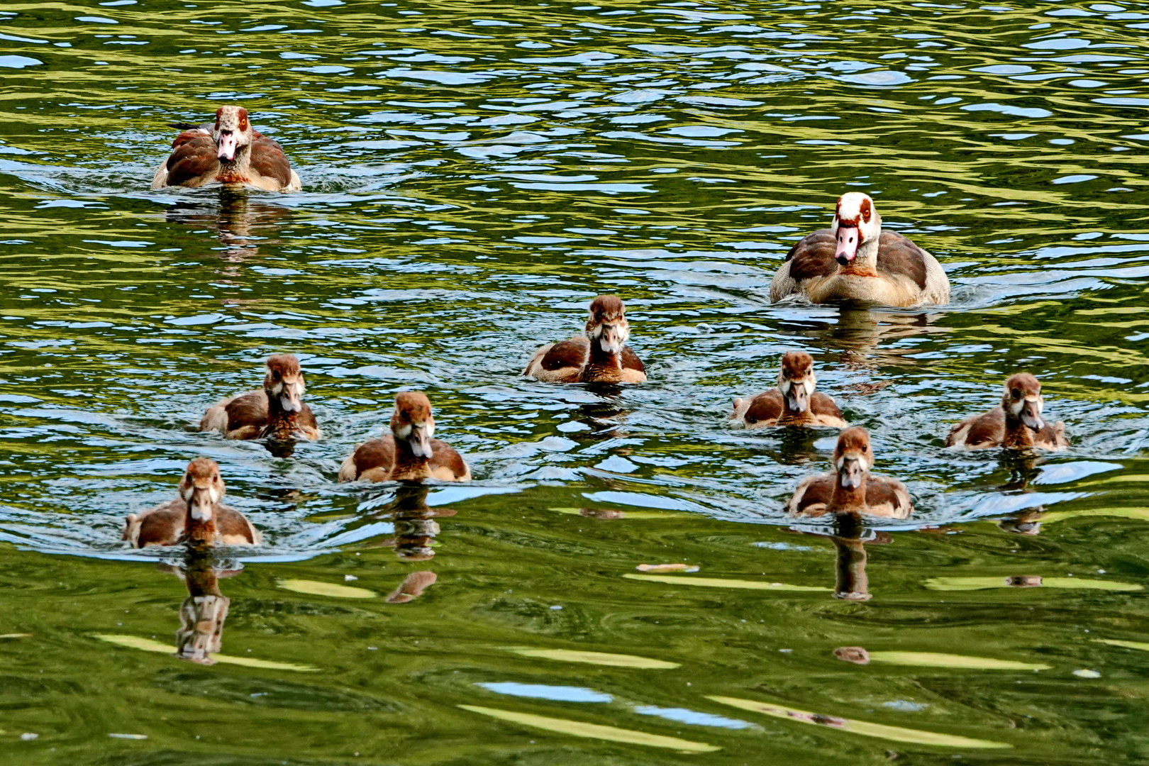 schon die Jungen wollen sich spiegeln lassen