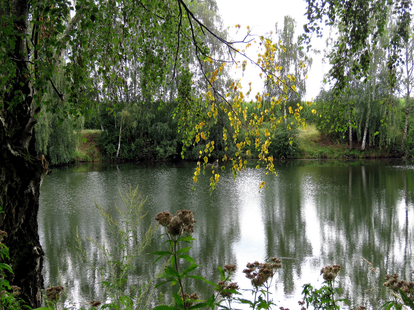 Schon ein Hauch vom Herbst