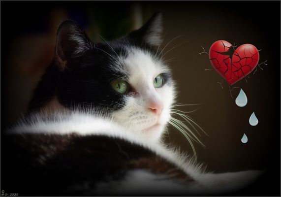 Schon ein Jahr ist es her ...