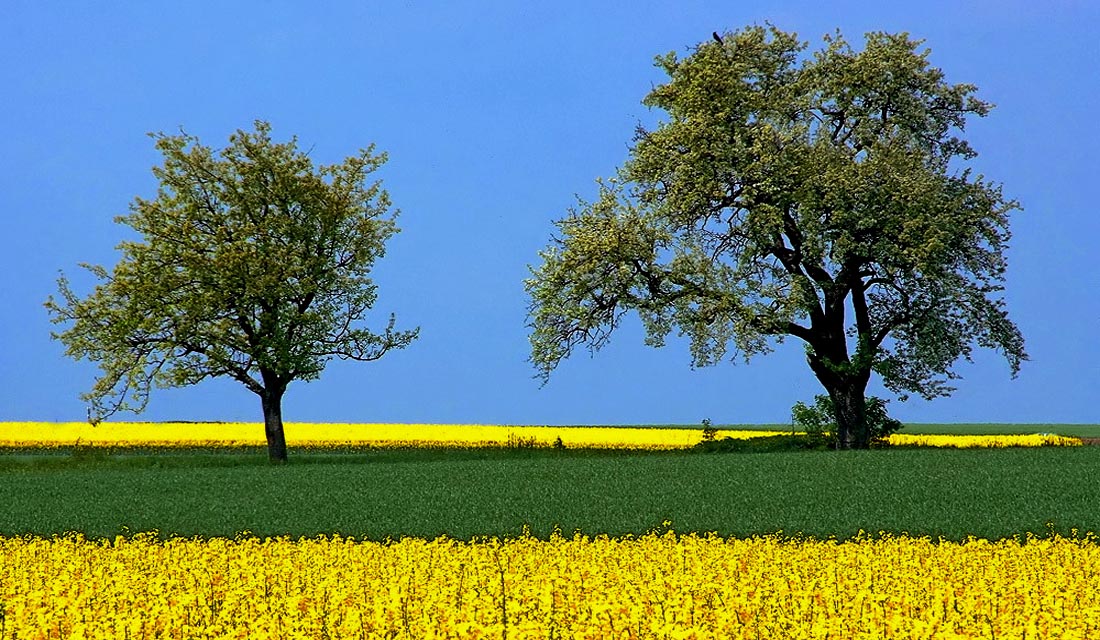 Schon eine Mai-Tour geplant? ....