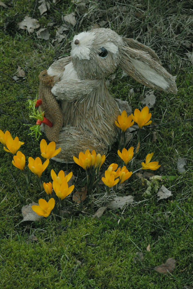 Schon eingetroffen in meinem Garten