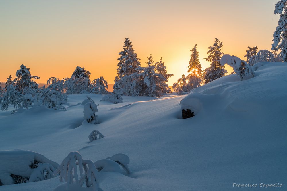 schon fast bei Sonnenuntergang