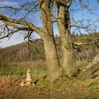 Schon fast Frühling