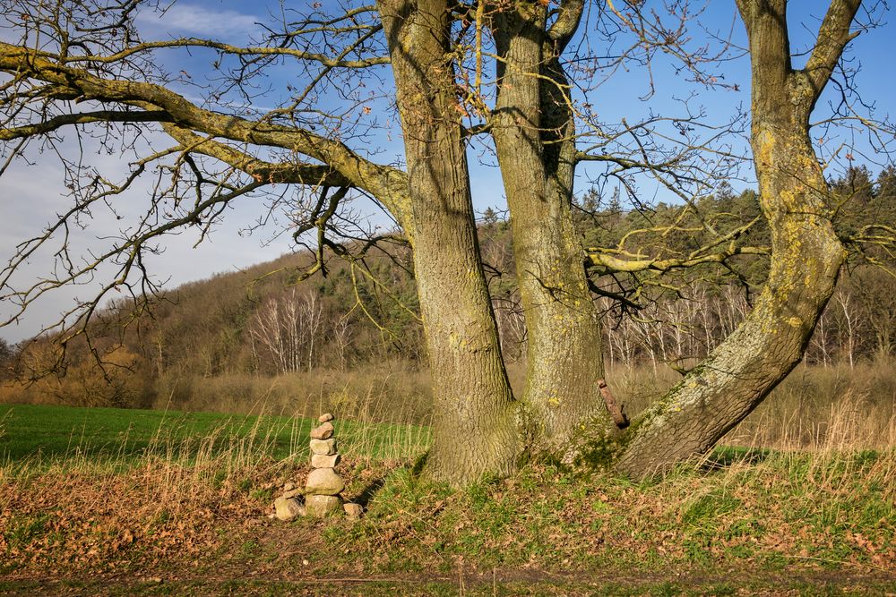 Schon fast Frühling