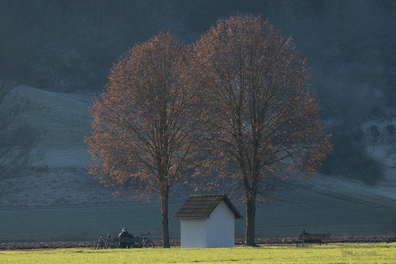 Schon Frühling !!