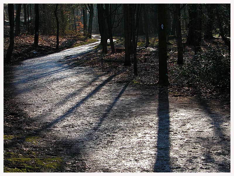 schon Frühling?