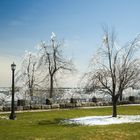 Schon Frühling oder doch noch Winter?