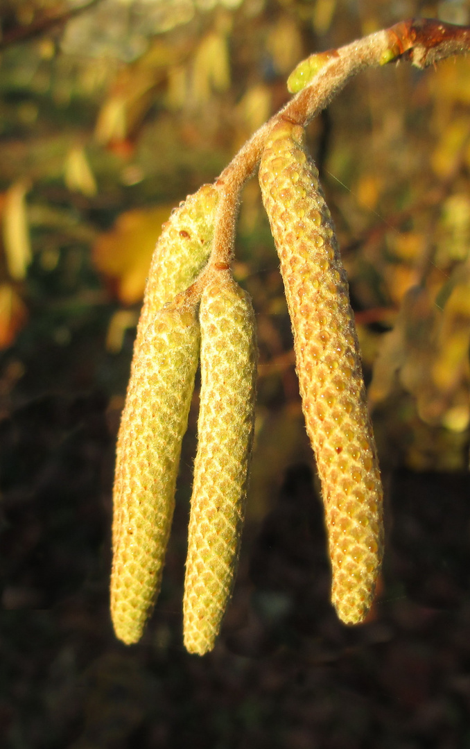 Schon gerüstet für den Frühling!