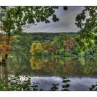 Schon Herbstfarben im Greizer Park