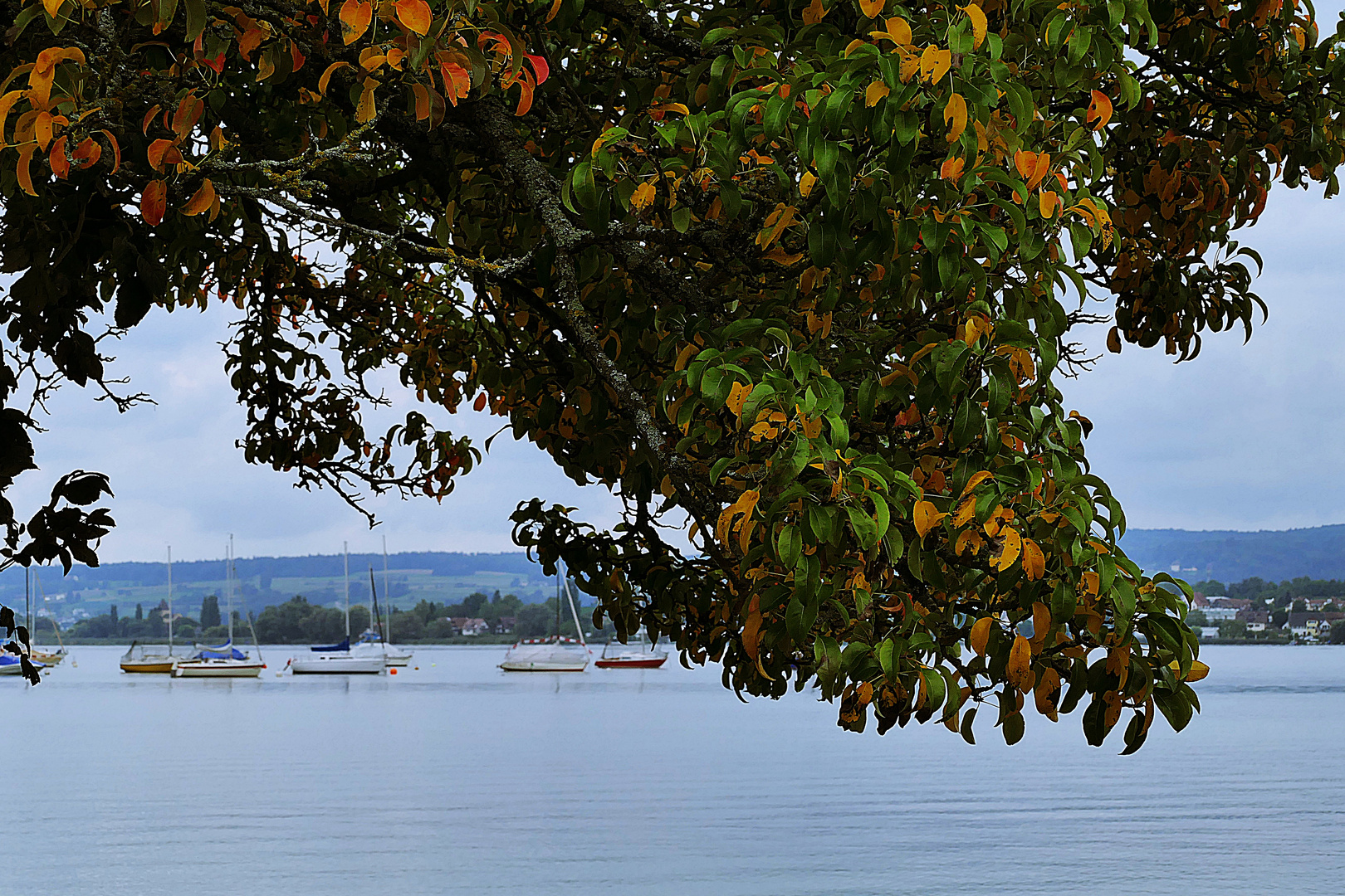 schon  herbstlich