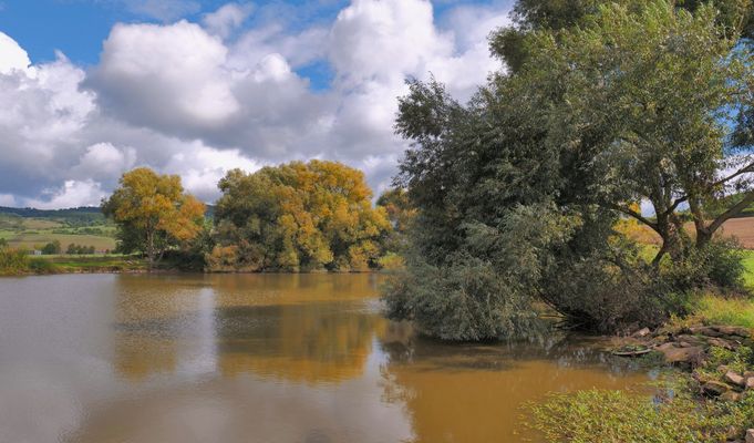 schon herbstliche Farben am See...