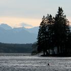 Schon in den Alpen?