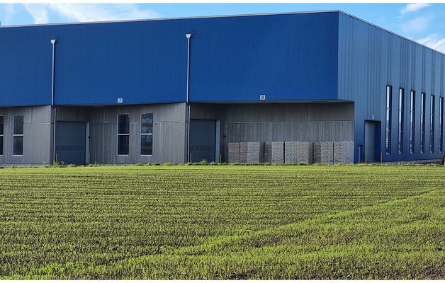 Schon keimt die Saat für die Ernte im nächsten Jahr...