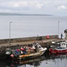 schon mal ein Blick auf die Orkney´s