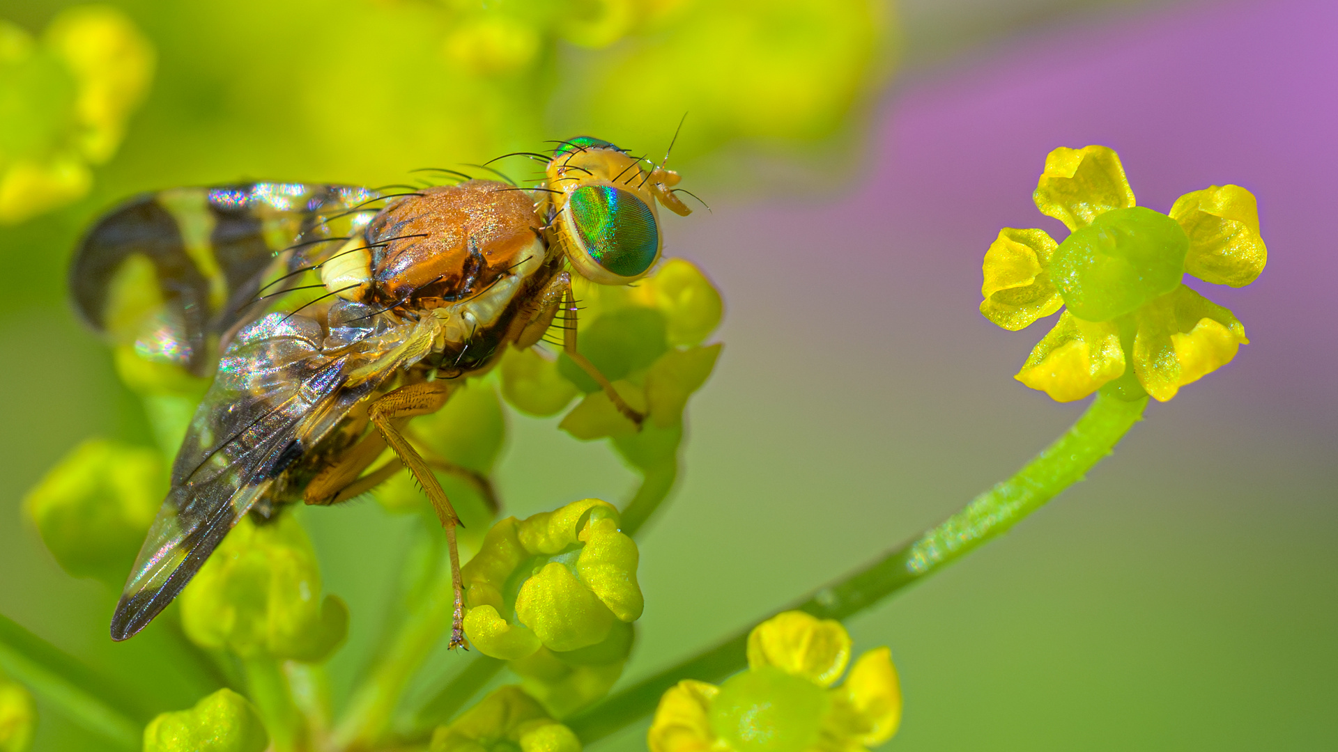 Schon mal gesehen? Foto & Bild