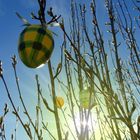 Schon mal vorab: Schöne Ostern