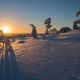 Lappland Januar 2017