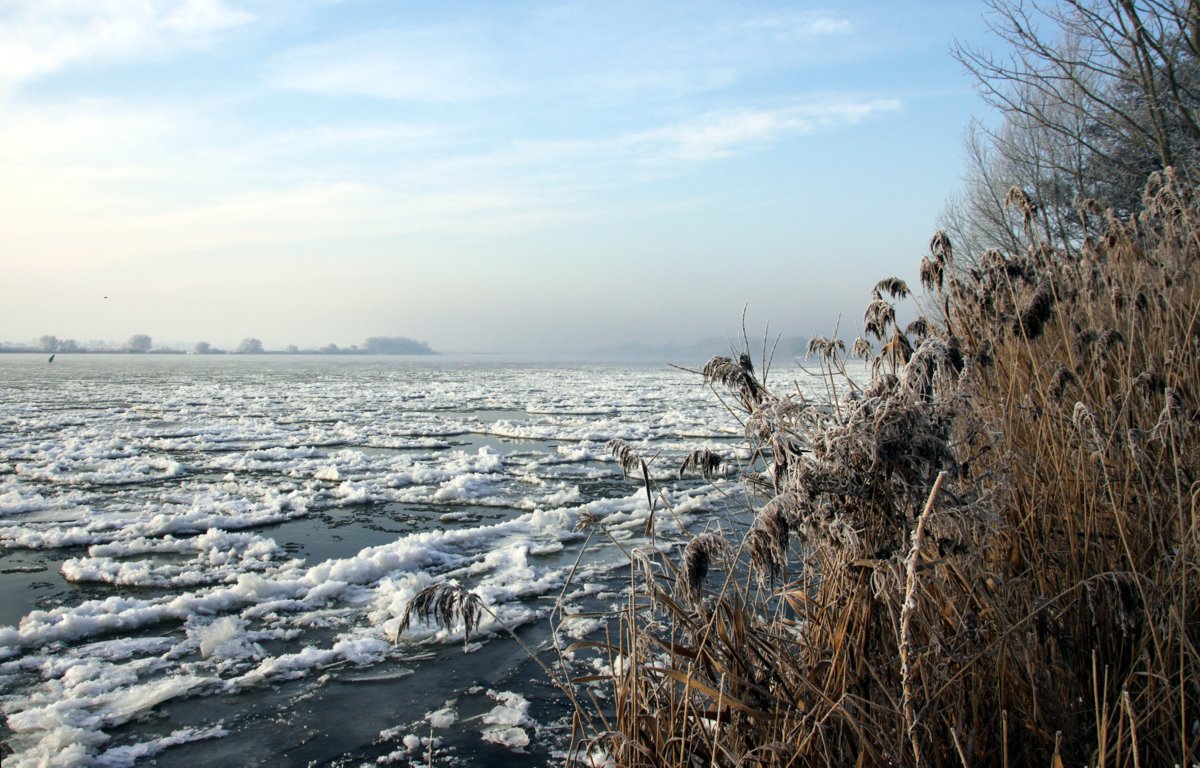 Schon reichlich Eis auf der Elbe bei Geesthacht