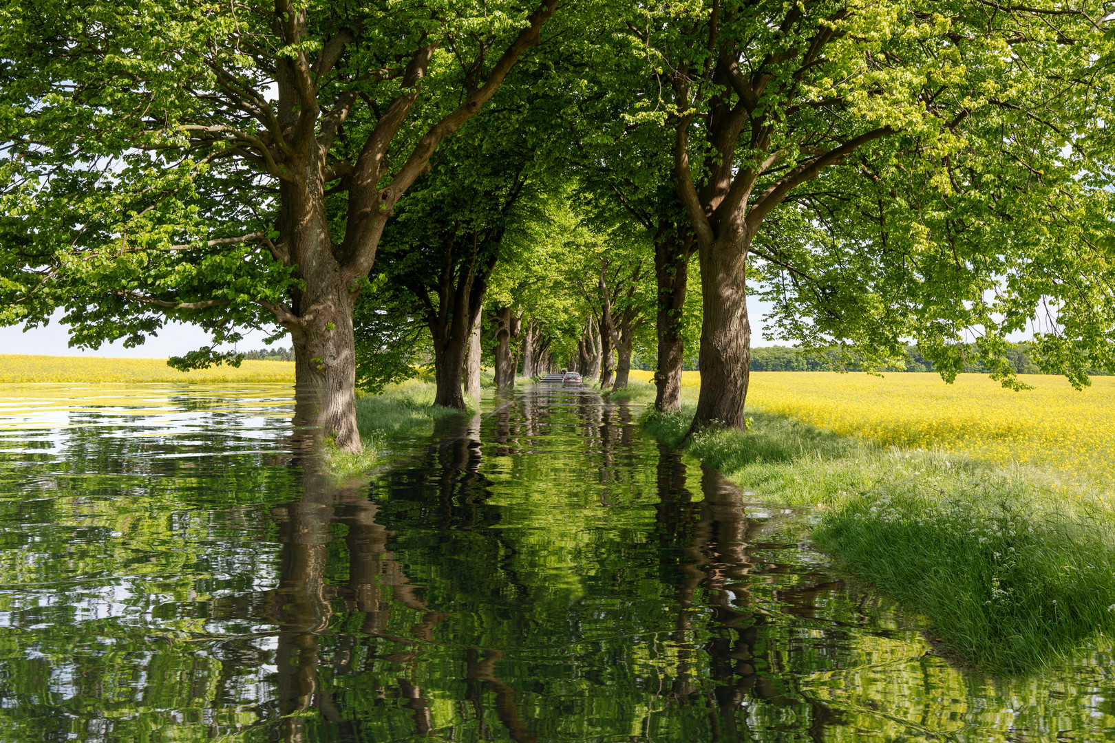 Schon vergessen? Urlaubsgrüße damals.