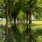 Schon vergessen? Urlaubsgrüße damals.