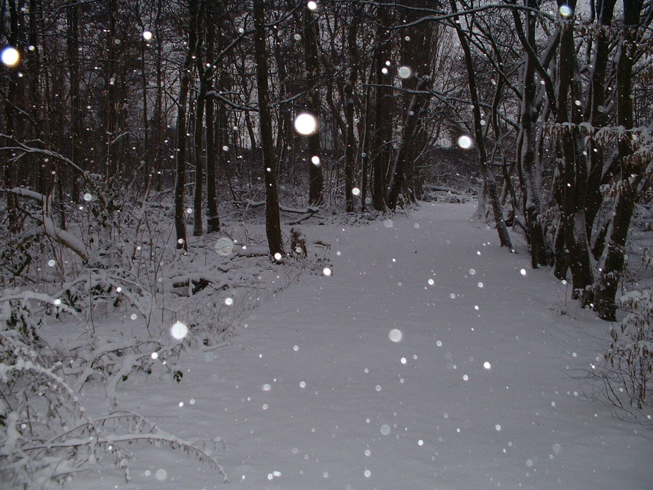 Schon vorbei? Winter in Walsum