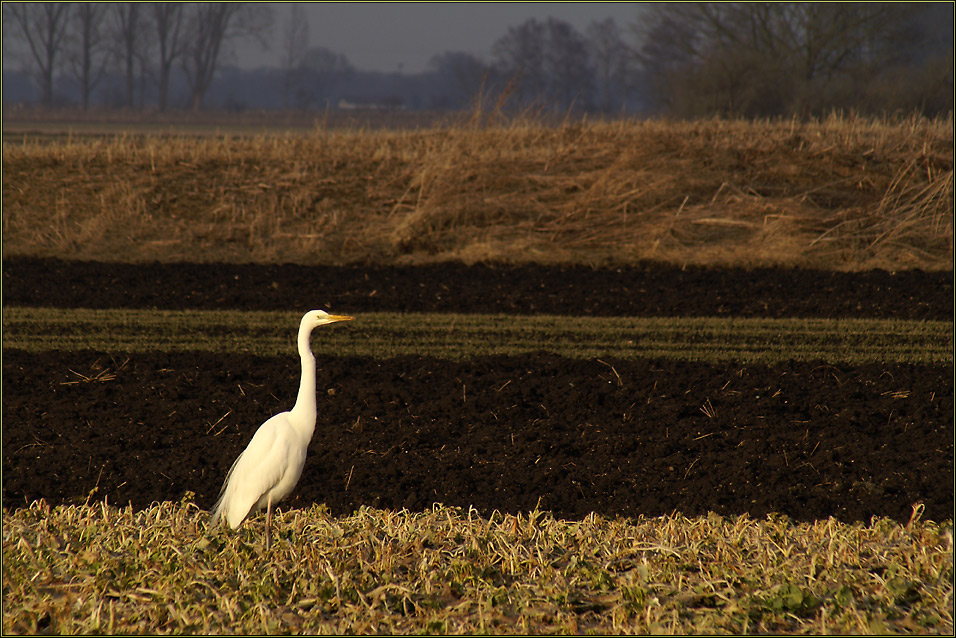 Schon weithin sichtbar...