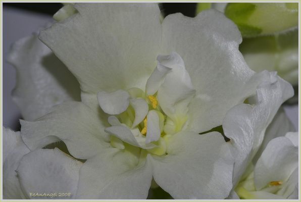 schon wieder ärgern