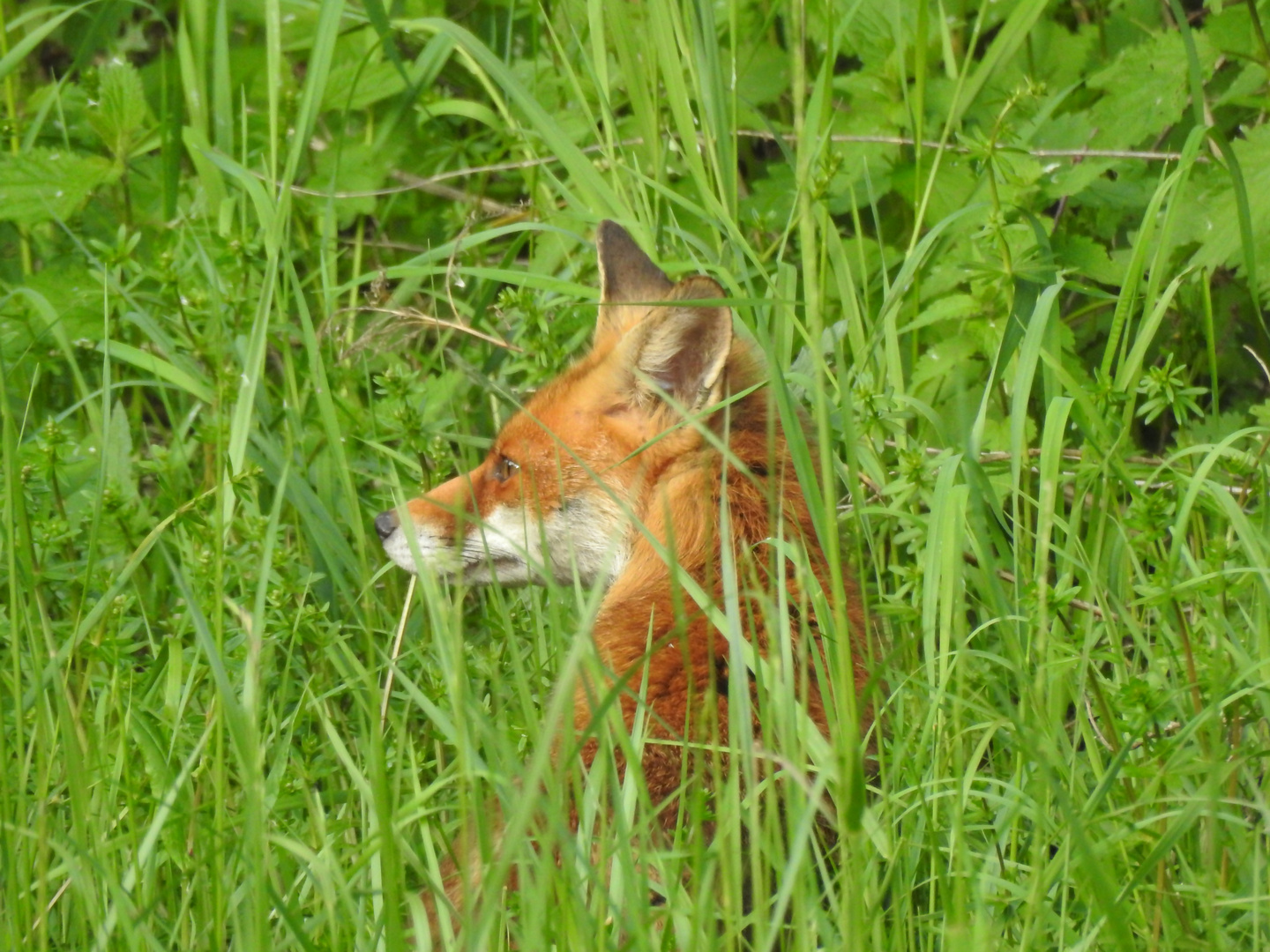 Schon wieder auf Besuch