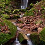 schon wieder Butzerbachtal