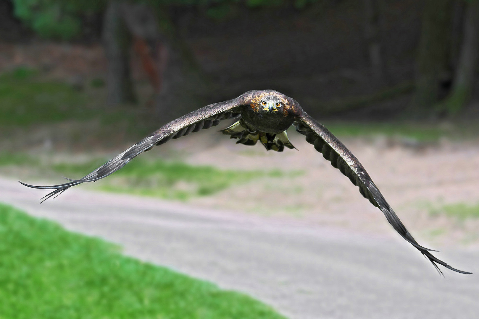 Schon wieder diese Paparazzi.........!