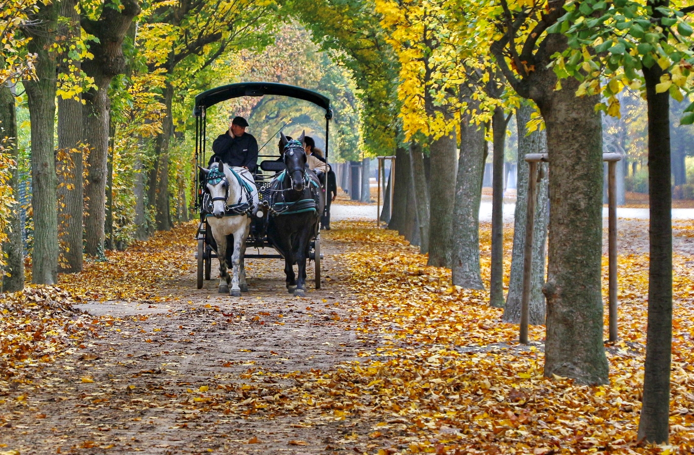 Schon wieder ein Herbstbild.