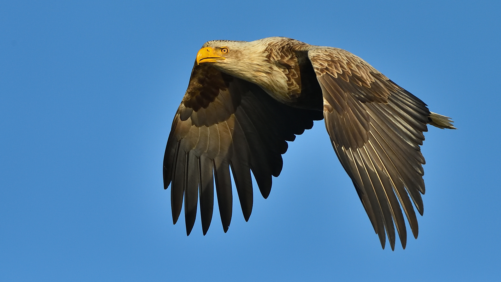 --schon wieder ein kurzer Vorbeiflug!