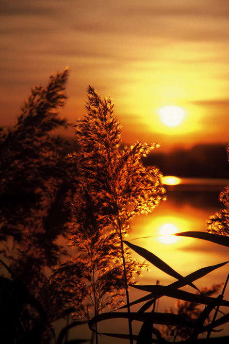 .... schon wieder ein sonnenuntergang bei sulmsee