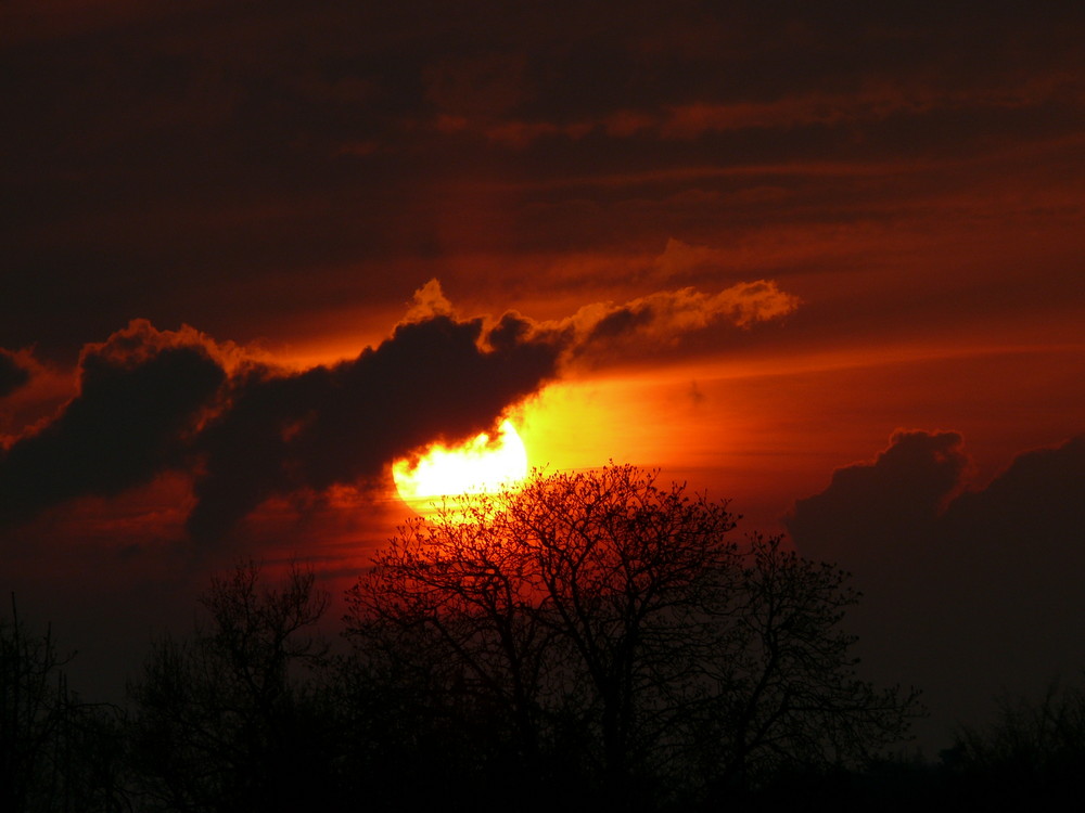 schon wieder ein sonnenuntergang!