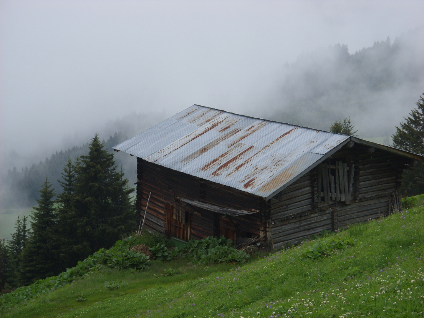 schon wieder eine Hütte