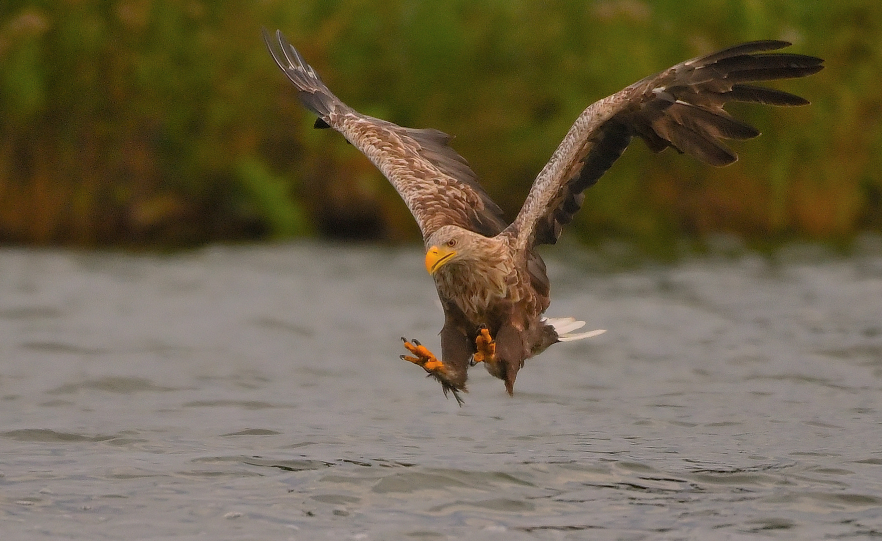 --schon wieder Einer griffbereit!