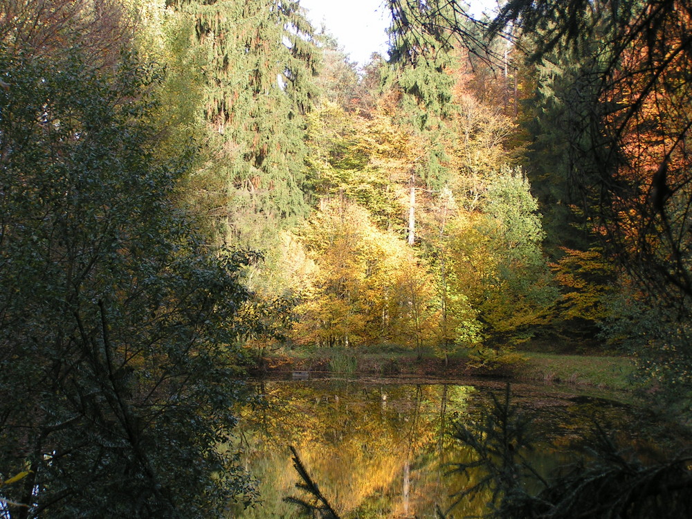 schon wieder goldener Herbst