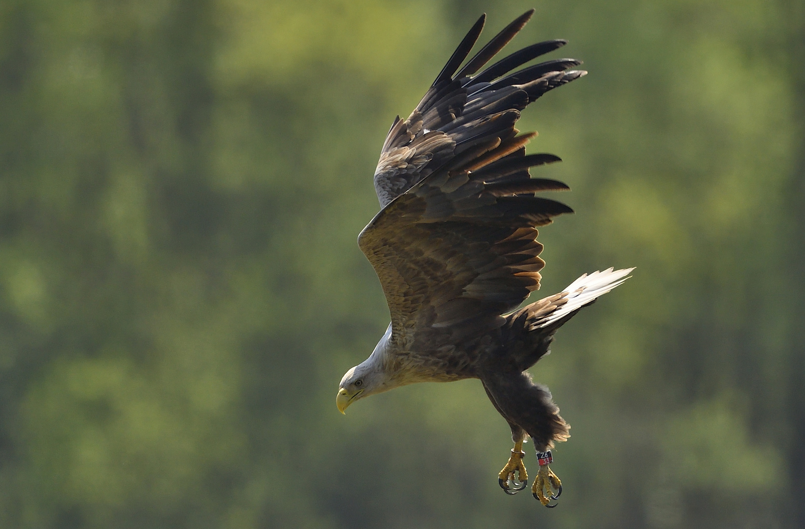 Schon wieder griffbereit!