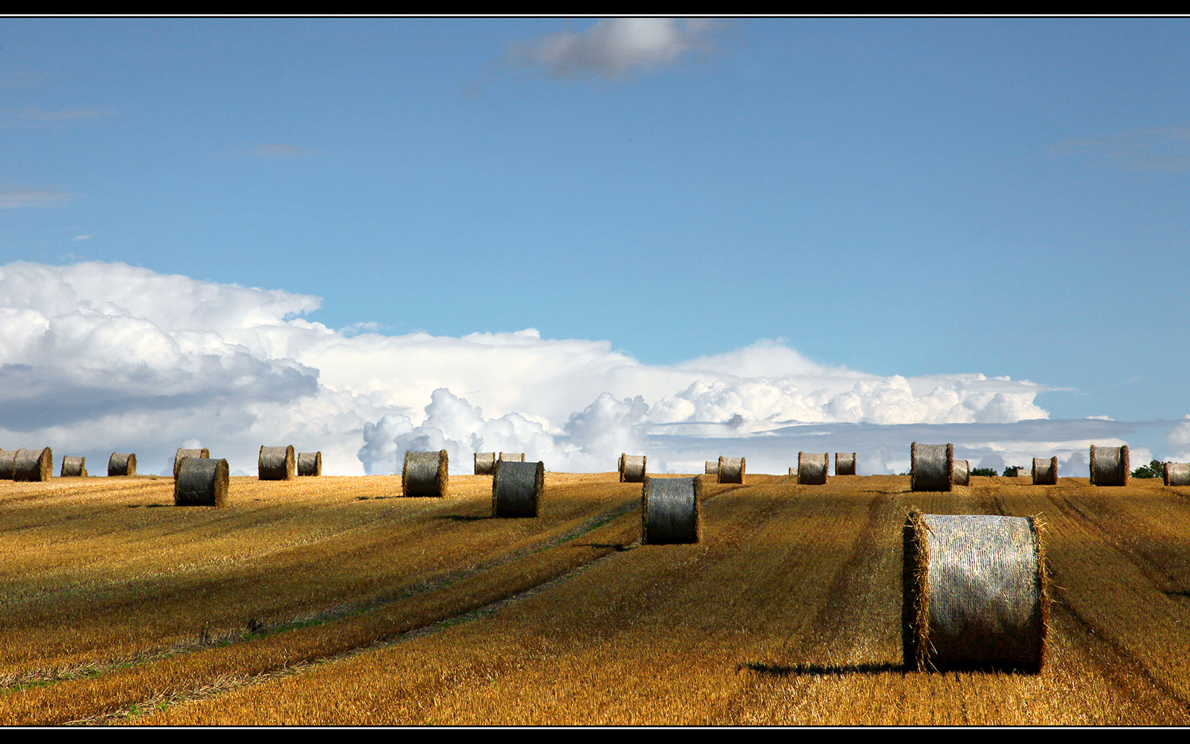 Schon wieder Herbst