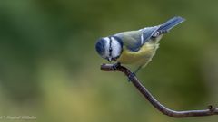 Schon wieder Hochbetrieb ...