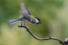 Schon wieder Hochbetrieb ...