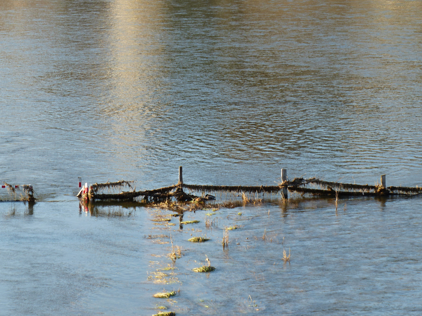 schon wieder Hochwasser