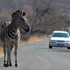 Schon wieder kein Zebrastreifen...