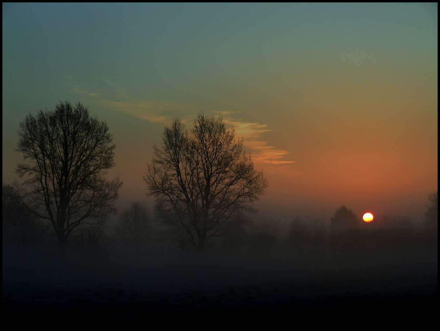 Schon wieder Nebel.