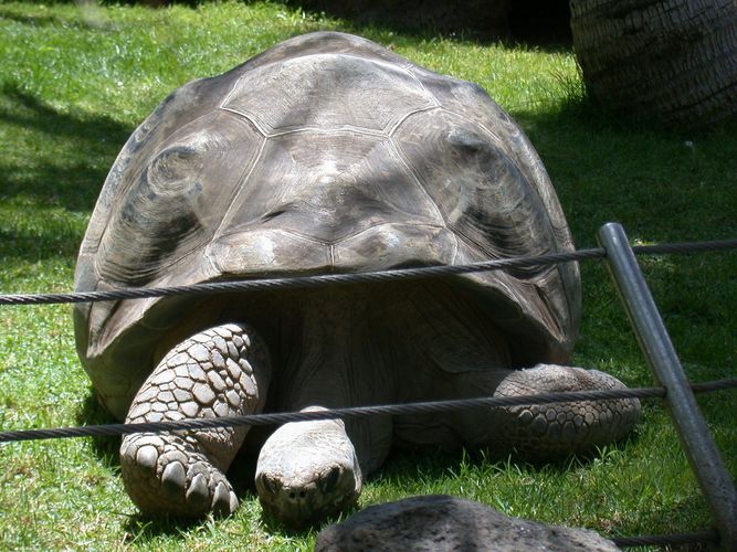 Schon wieder Sackgasse! Wo geht es hier nach Galapagos?