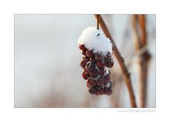 Schon wieder Schnee