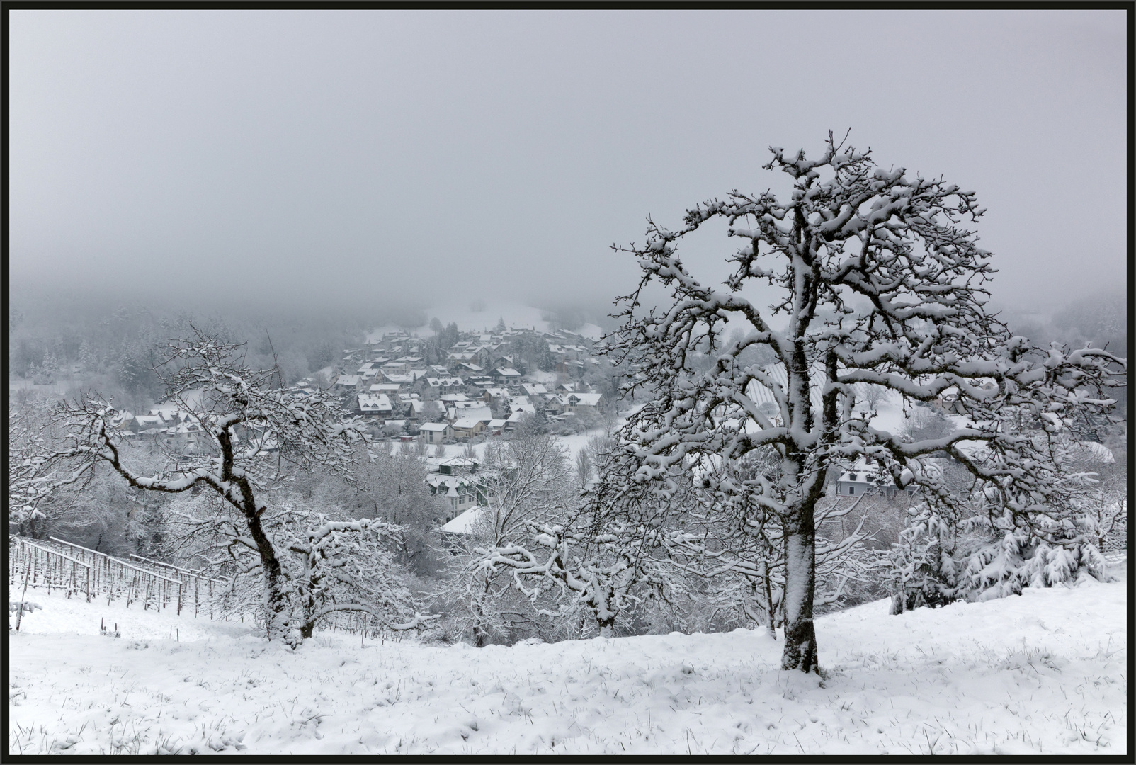 Schon wieder Schnee ...