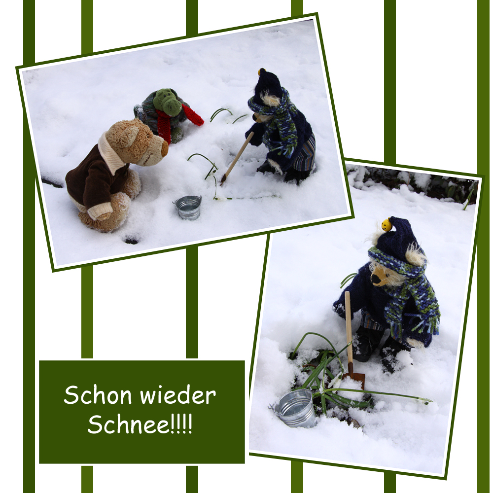 Schon wieder Schnee!!!